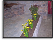 Display - New Holland