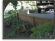 Walkways & Patios - before