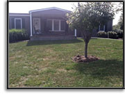Walkways & Patios - before