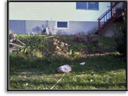 Retaining Wall - before