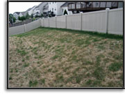 Retaining Wall - before