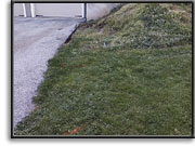 Retaining Wall - before