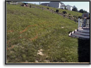 Retaining Wall - before